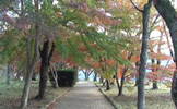 秋の津山城2010